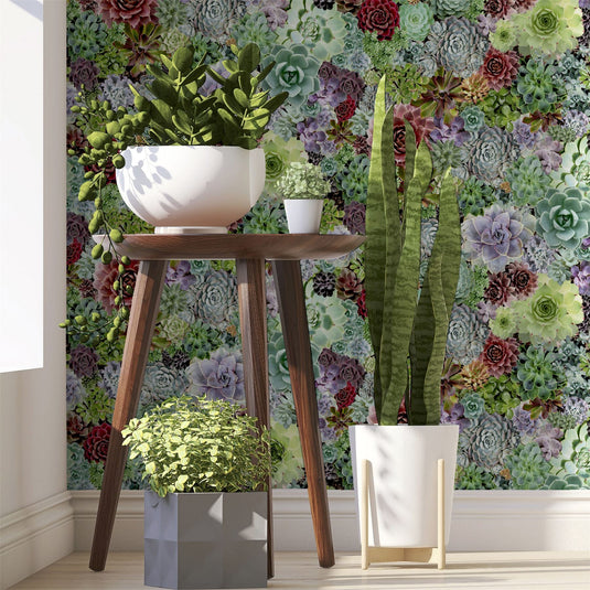 Succulent Living Wall Multi Wallpaper