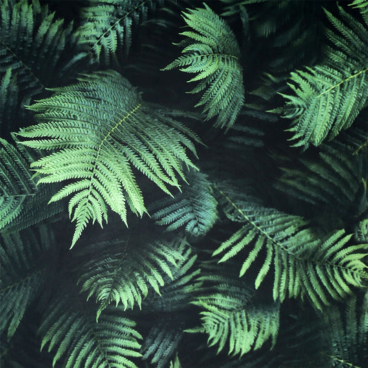 Fern Wall Green Wallpaper