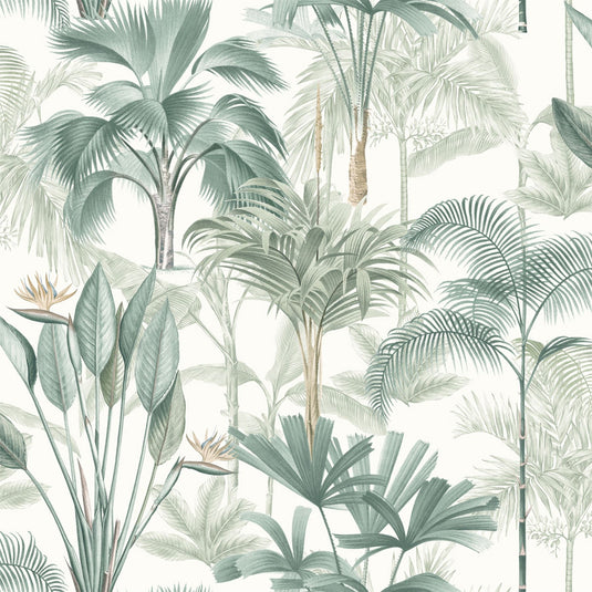 King Palm Green Wallpaper