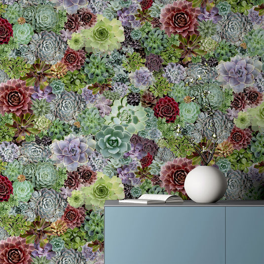 Succulent Living Wall Multi Wallpaper