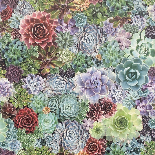 Succulent Living Wall Multi Wallpaper