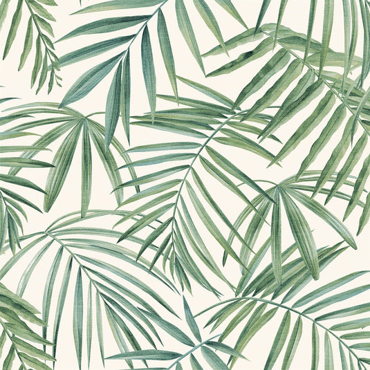 Palm Leaves Green Wallpaper