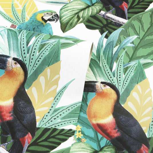 Toucan Jungle Multi Wallpaper