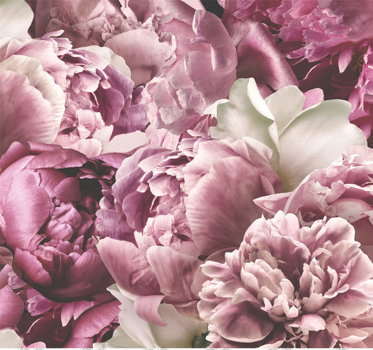 Peonies Mural Wallpaper