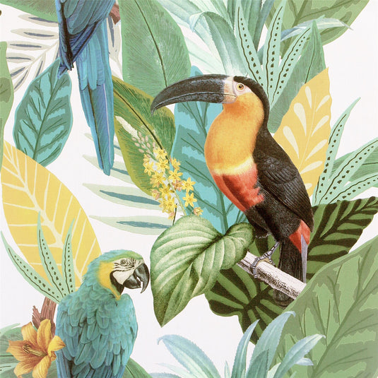 Toucan Jungle Multi Wallpaper